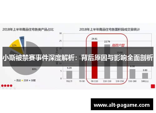小斯被禁赛事件深度解析：背后原因与影响全面剖析