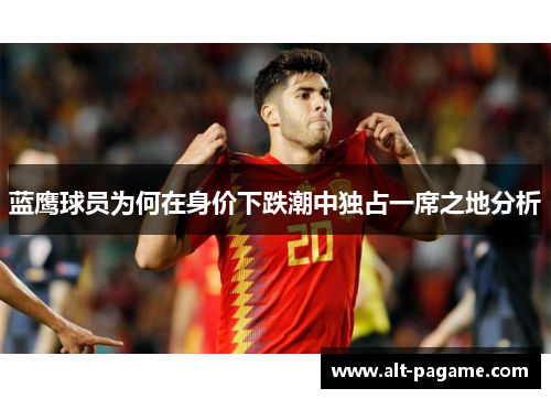 蓝鹰球员为何在身价下跌潮中独占一席之地分析